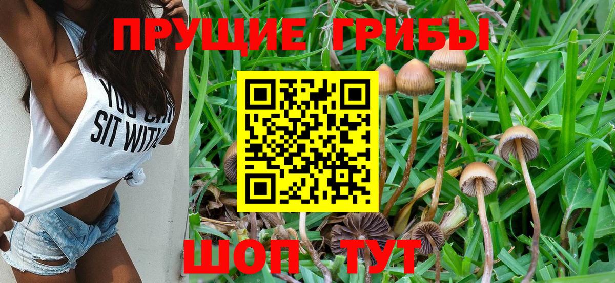 Псилоцибиновые грибы MAGIC MUSHROOMS  Вход с VPN  Псилоцибиновые грибы Psilocybe  Каменск-Уральский 
