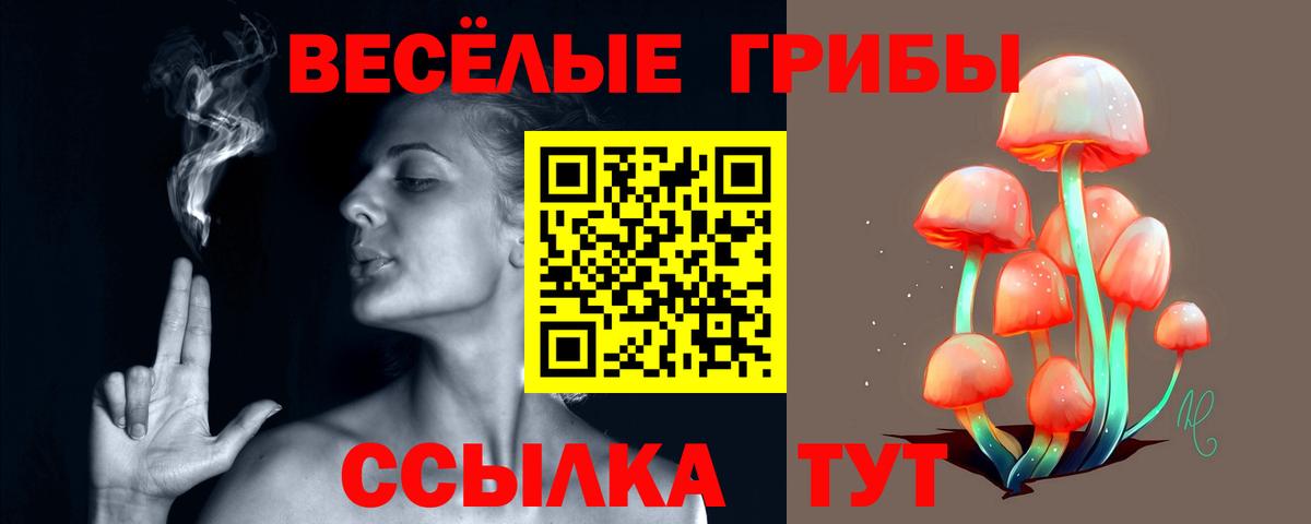 Псилоцибиновые грибы мухоморы Каменск-Уральский